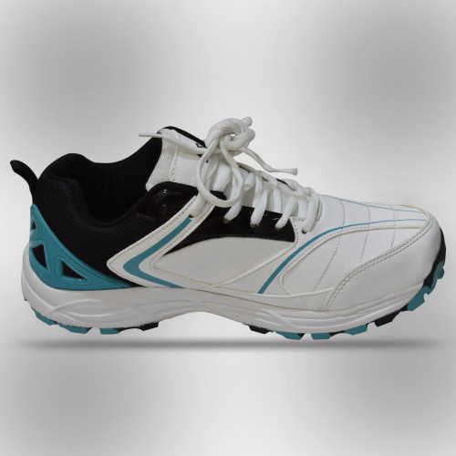 AS Cricket Shoes POWER