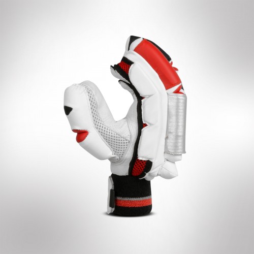 AS Cricket Batting Gloves Champ