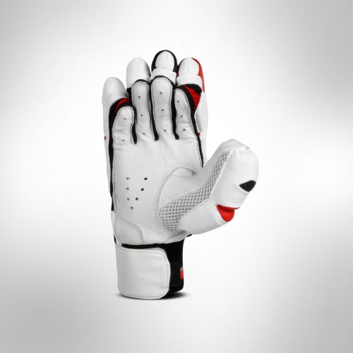AS Cricket Batting Gloves Champ